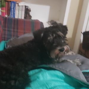 Meet your Posher, Catherine